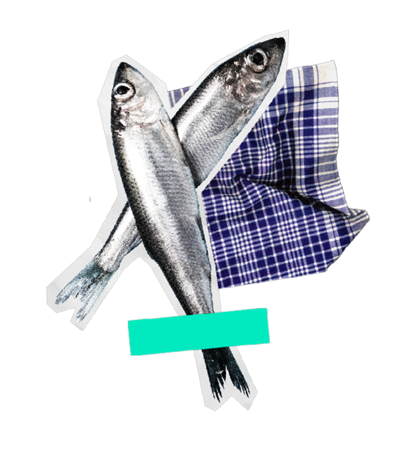 Foto collage de sardinas sobre el pañuelo típico de Candás