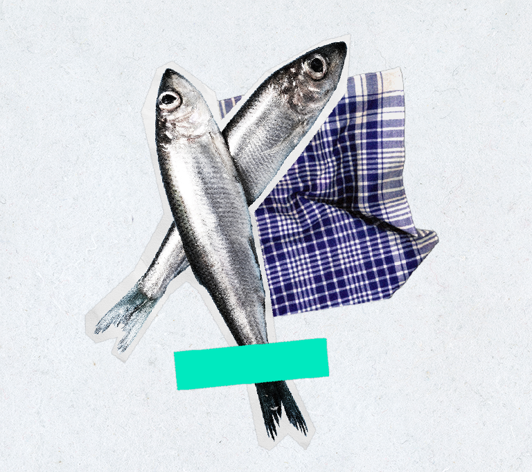El festival de la sardina estrena web